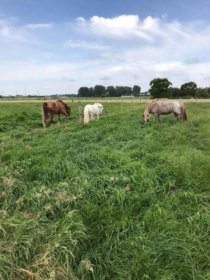 Ferme De La Forterie Verlinghem Ngoại thất bức ảnh